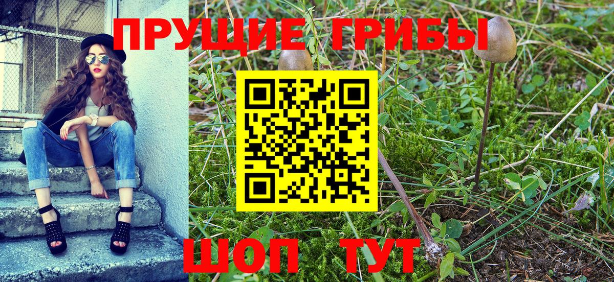Псилоцибиновые грибы MAGIC MUSHROOMS  купить  цена  Елизово  Вход с VPN 